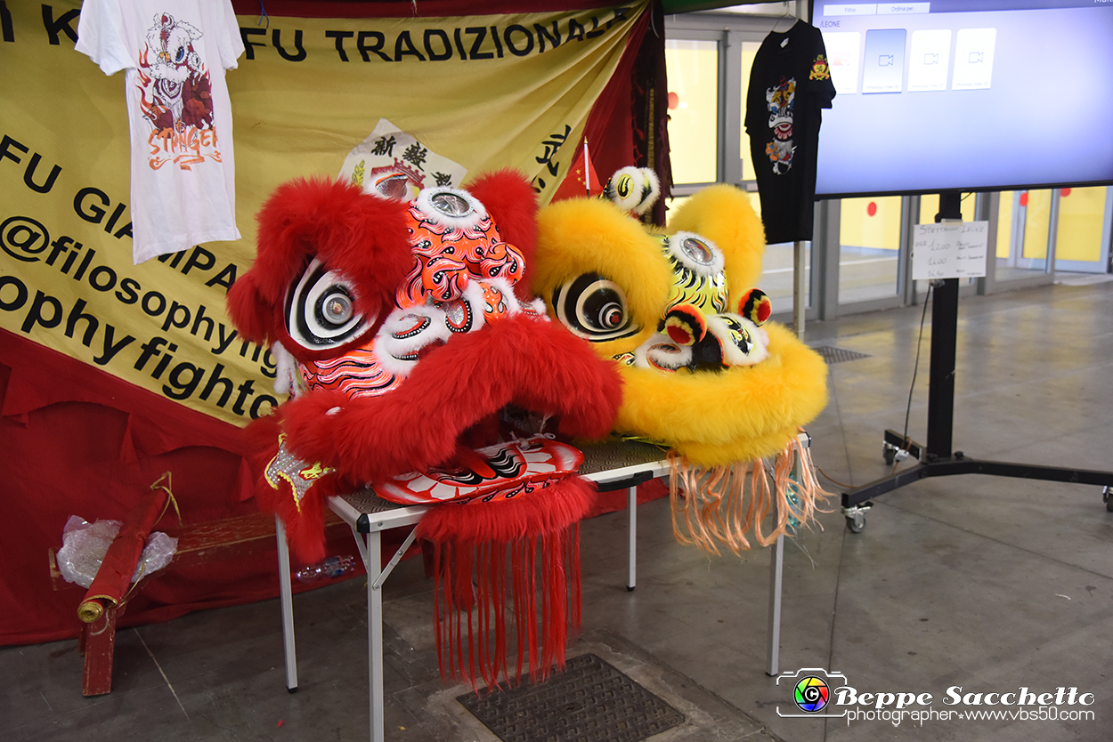 VBS_9074 - Festival dell'Oriente 2023.jpg